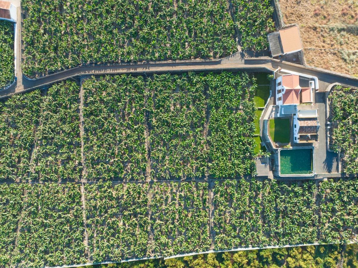 Hacienda Los Orovales Puerto de la Cruz  Buitenkant foto