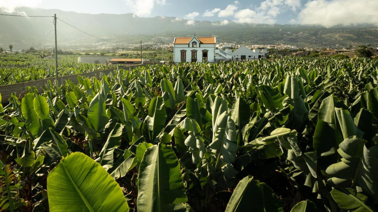 Hacienda Los Orovales Puerto de la Cruz  Buitenkant foto