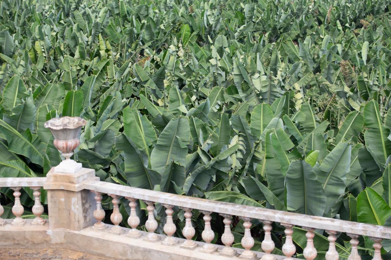 Hacienda Los Orovales Puerto de la Cruz  Buitenkant foto